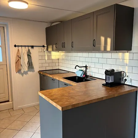 Apartment Cozy Oasis Near Copenhagen